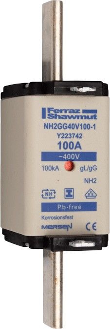 Sicherungseinsatz NH gG NH2GG40V100-1