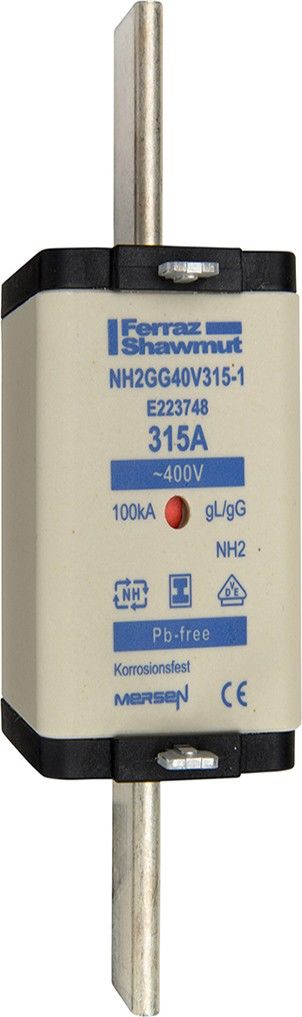 Sicherungseinsatz NH gG NH2GG40V400-1