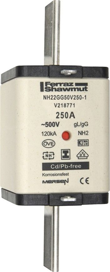 Sicherungseinsatz NH Sond. NH22GG50V250-1 Sicherungseinsatz NH Sond. NH22GG50V250-1