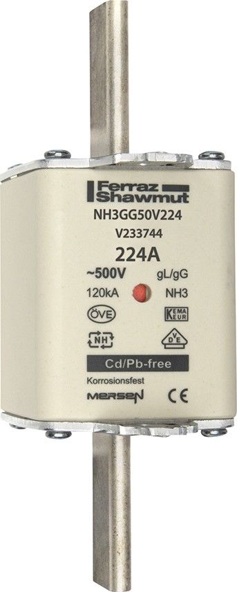 Sicherungseinsatz NH Sond. NH3GG50V100