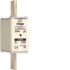 NH-Sicherung NH1 gG 690V LNH1224M6