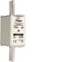 NH-Sicherung NH1 gG 690V LNH1250M6