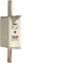 NH-Sicherung NH1C gG 690V LNH1100M6