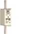 NH-Sicherung NH1C gG LNH1063M6
