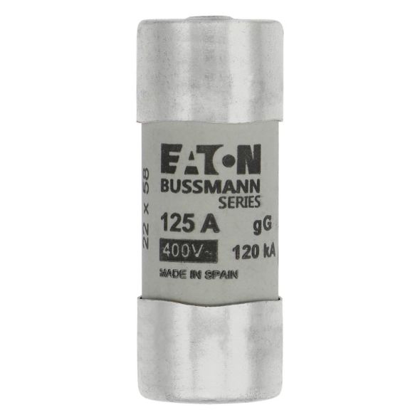 Sicherungseinsatz C22G125S