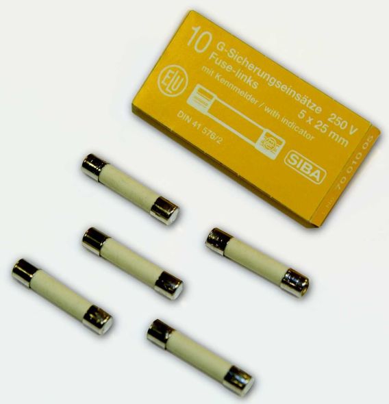 G-Sicherung M 100mA 172526 G-Sicherung M 100mA 172526