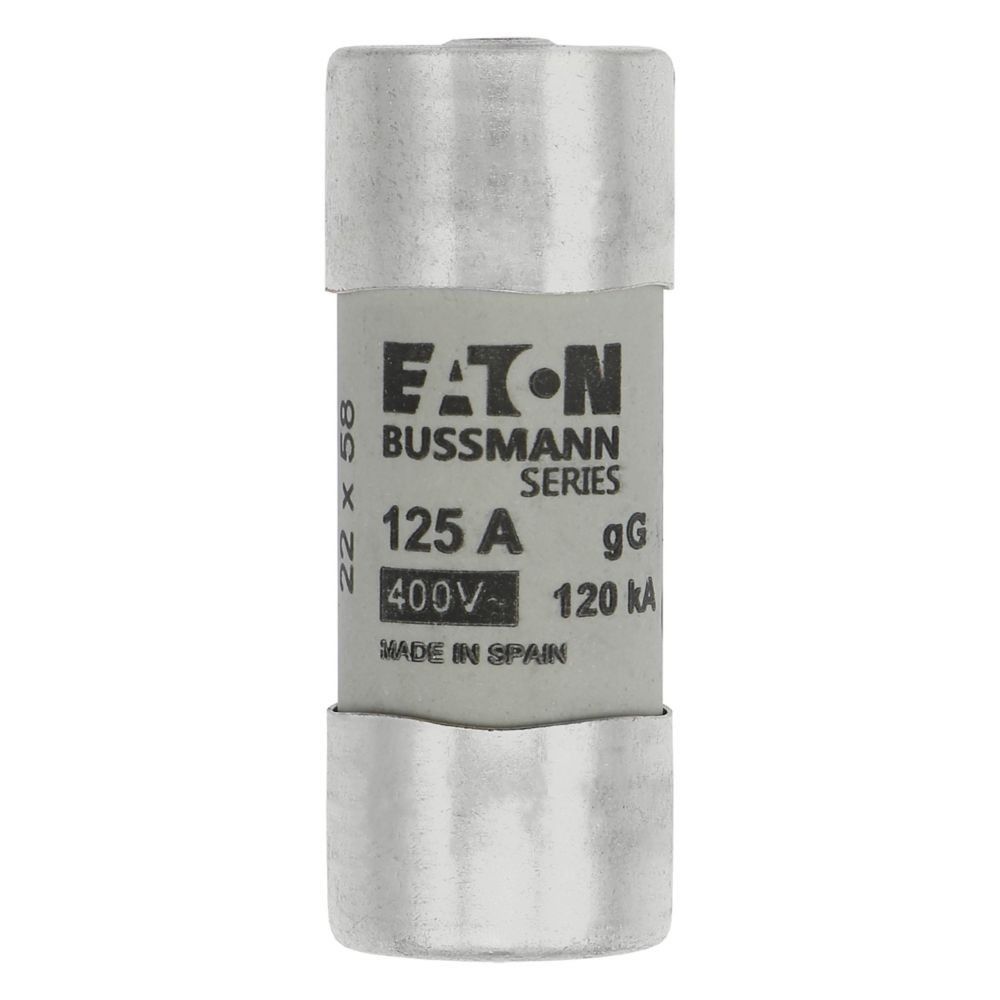 Sicherungseinsatz C22G125S