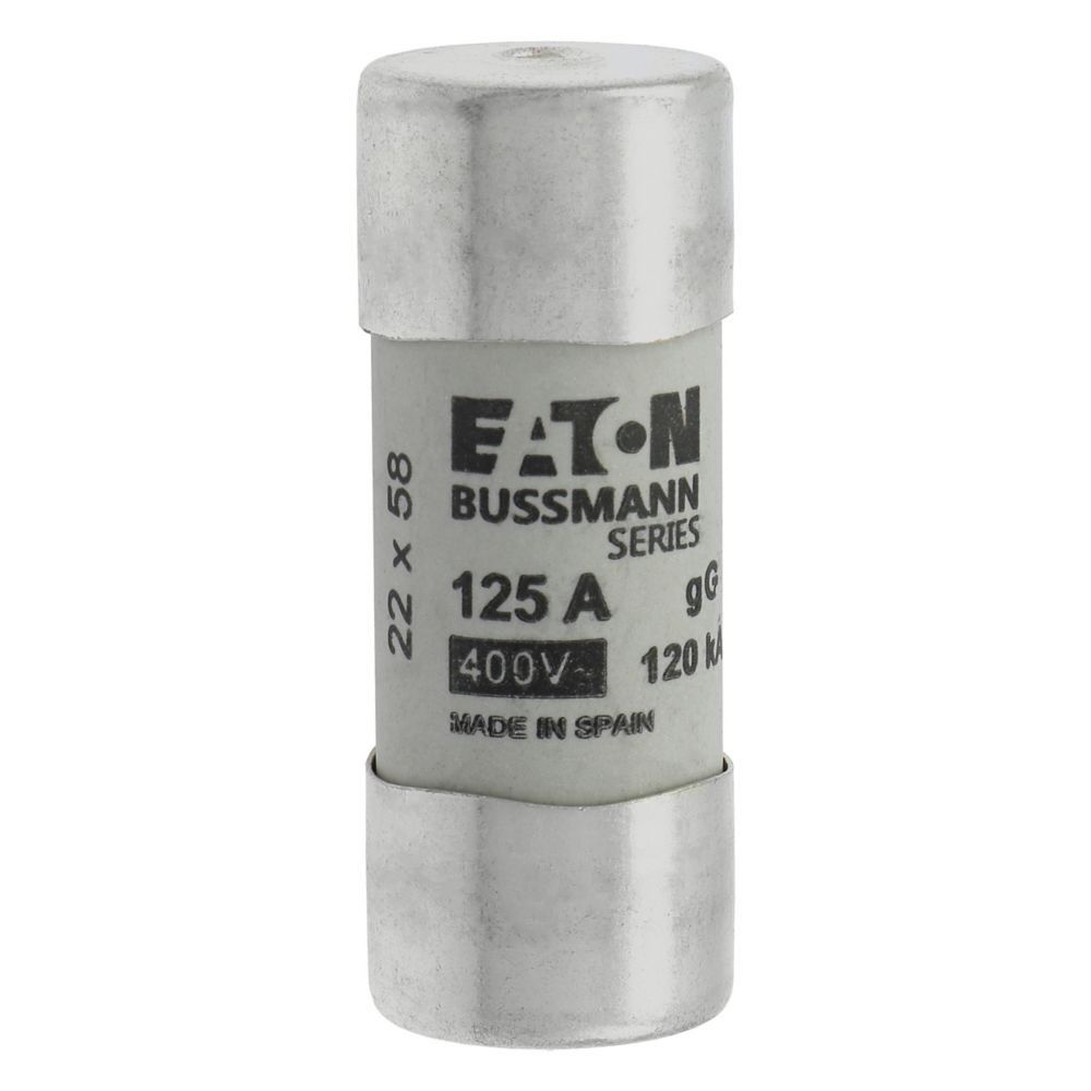Sicherungseinsatz C22G125S