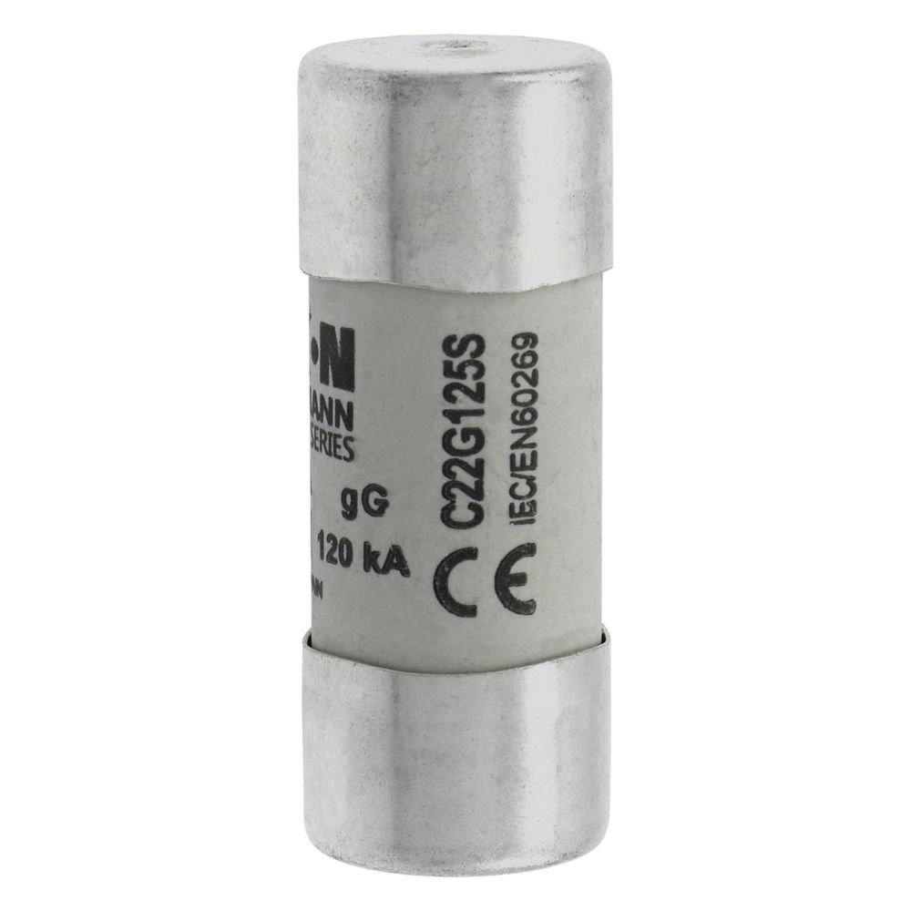 Sicherungseinsatz C22G125S
