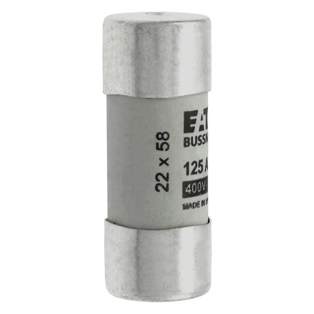 Sicherungseinsatz C22G125S
