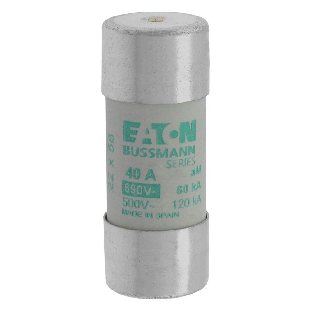 Sicherungseinsatz Nieders. CYL AM 22,#C22M40S