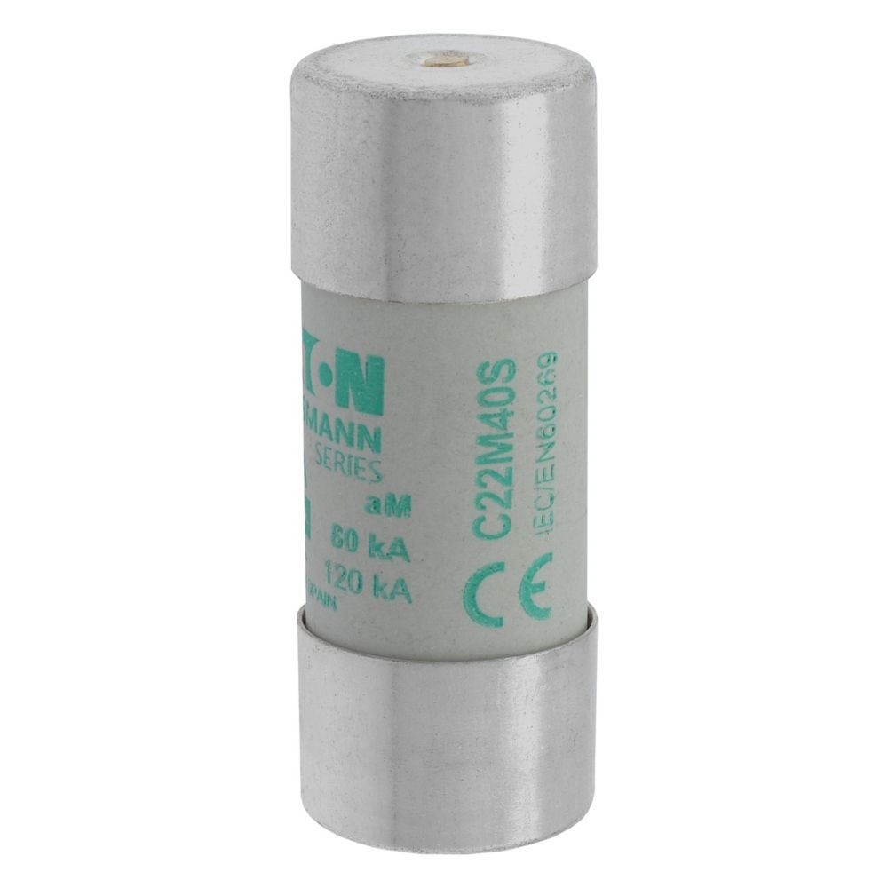 Sicherungseinsatz Nieders. CYL AM 22,#C22M40S