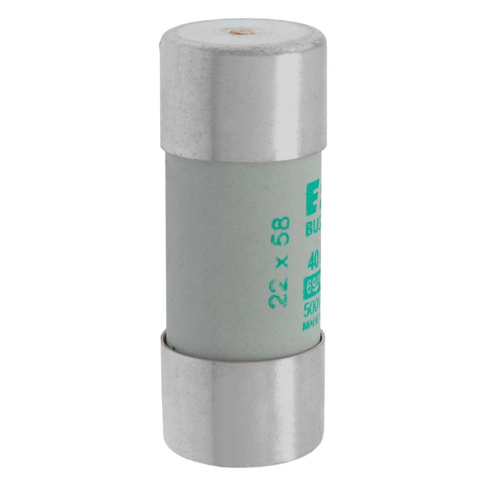 Sicherungseinsatz Nieders. CYL AM 22,#C22M40S