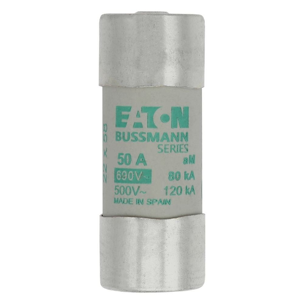 Sicherungseinsatz Nieders. CYL AM 22,#C22M50S