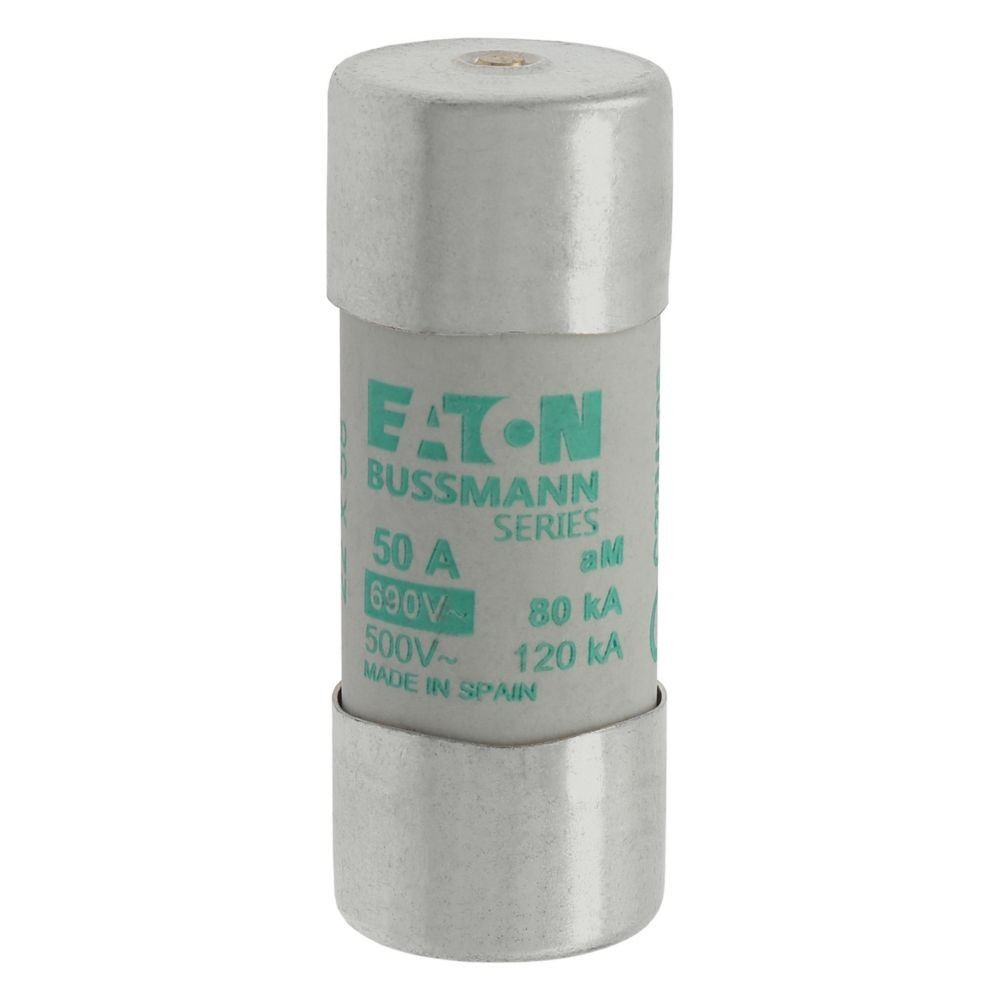 Sicherungseinsatz Nieders. CYL AM 22,#C22M50S