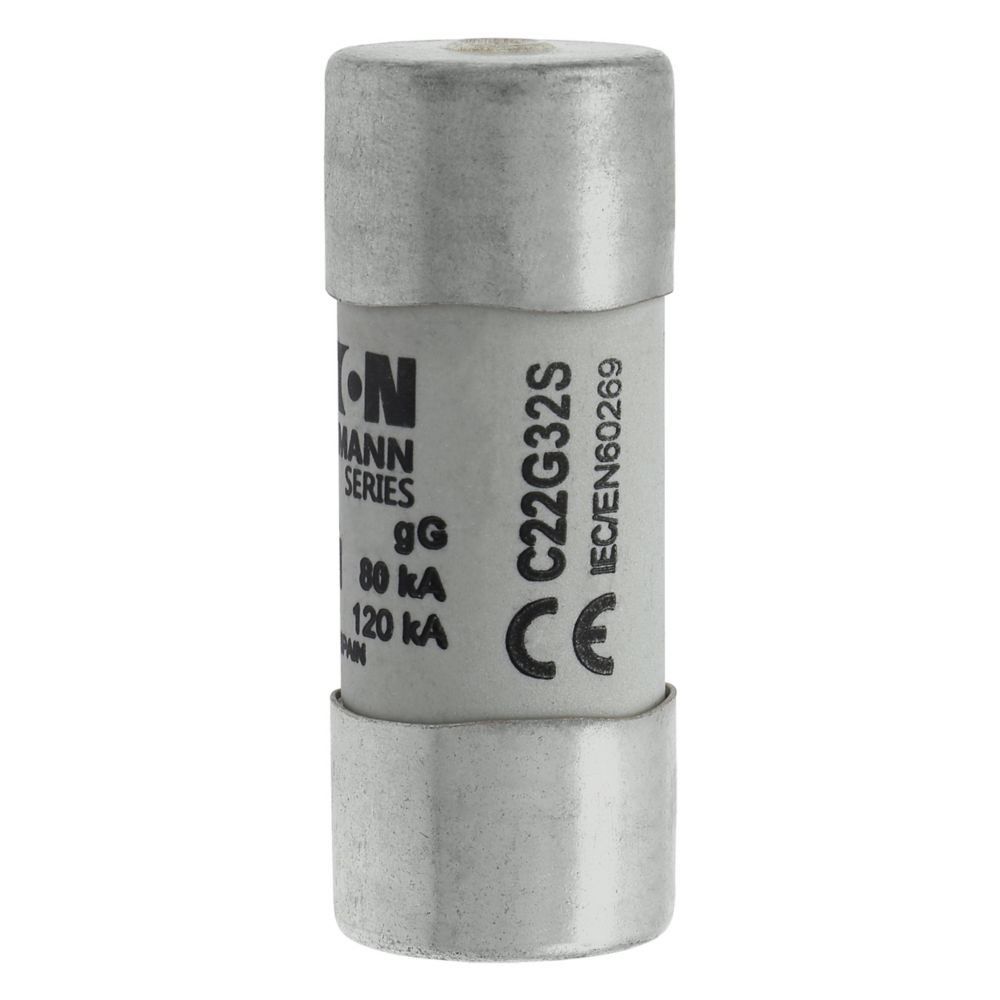 Sicherungseinsatz Nieders. CYL GG 22,#C22G32S