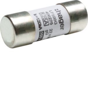 Zylindersicherung LF599G