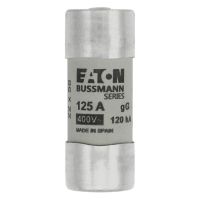 Sicherungseinsatz C22G125S