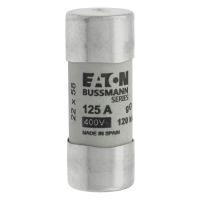 Sicherungseinsatz C22G125S