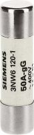 Zylindersicherung 3NW6120-1
