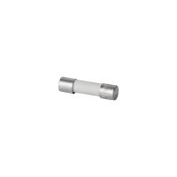 Sicherungseinsatz G 20/0.10A/F
