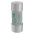 Sicherungseinsatz Nieders. CYL AM 22,#C22M40S