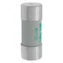 Sicherungseinsatz Nieders. CYL AM 22,#C22M40S