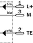 Einweg-Lichtschranke WS/WE24-2B430 Einweg-Lichtschranke WS/WE24-2B430