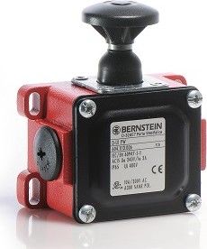 Grenztaster D-U1 PW Grenztaster D-U1 PW