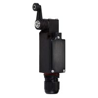 Positionsschalter 254889