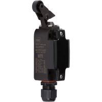 Positionsschalter 258230