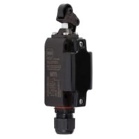 Positionsschalter 258237