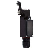 Positionsschalter 8060/2-5-D-60#254895