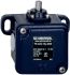 Positionsschalter TS 422-10Y-M20