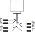 Sicherheits-Sensor CSS 15-30-2P+D-M-L