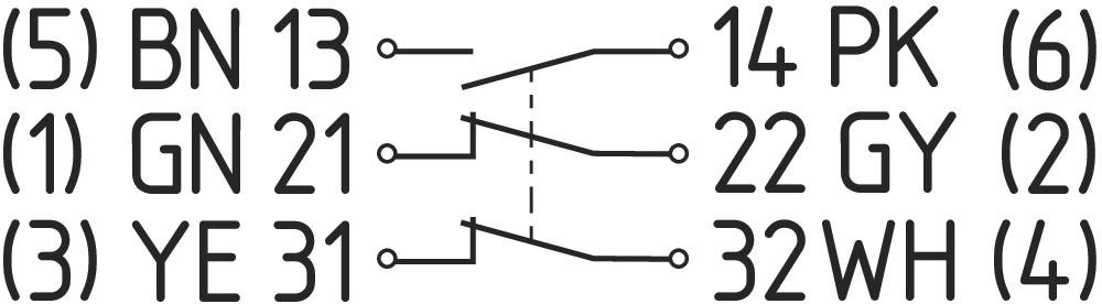 Positionsschalter PS116-Z12-STR-K200