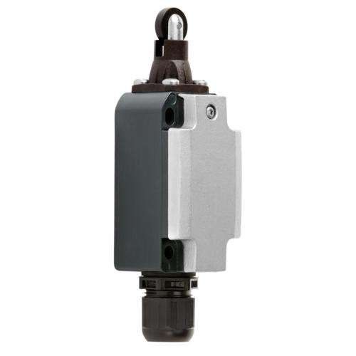 Positionsschalter 8074/2-3-R-40#257204