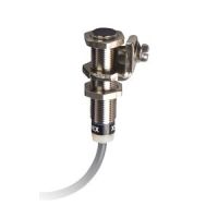 Näherungsschalter induktiv XS612B1PAL2EX