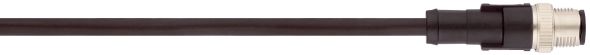 AB-PC4-M12MS-10,0PUR 22260780 AB-PC4-M12MS-10,0PUR 22260780