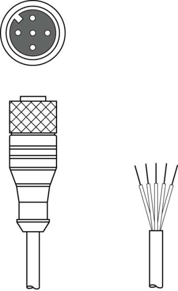 Anschlussleitung KD SC-M12-5A-P1-300 Anschlussleitung KD SC-M12-5A-P1-300