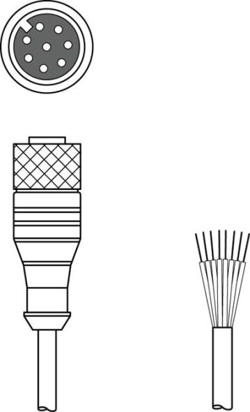 Anschlussleitung KD U-M12-8A-P1-010 Anschlussleitung KD U-M12-8A-P1-010