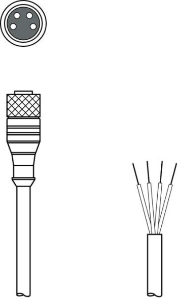 Anschlussleitung KD U-M8-4A-V1-150 Anschlussleitung KD U-M8-4A-V1-150