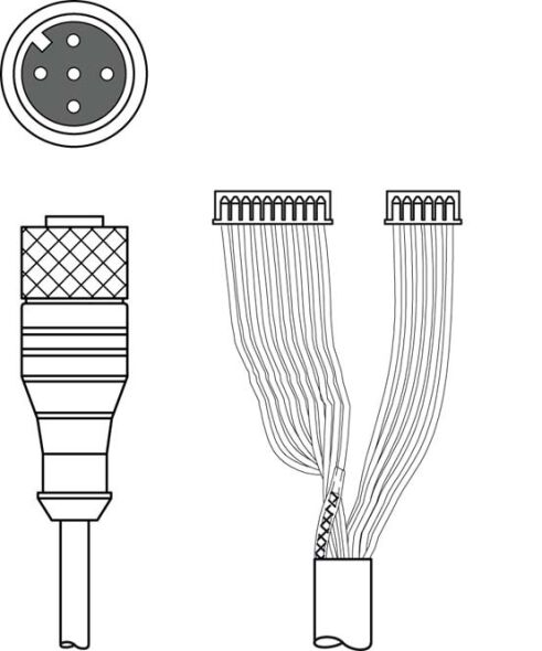 Verbindungsleitung K-DS M12A-M#50115049 Verbindungsleitung K-DS M12A-M#50115049