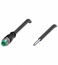 Kabelstecker V31S-GM-BK0,3M-PUR-U Kabelstecker V31S-GM-BK0,3M-PUR-U