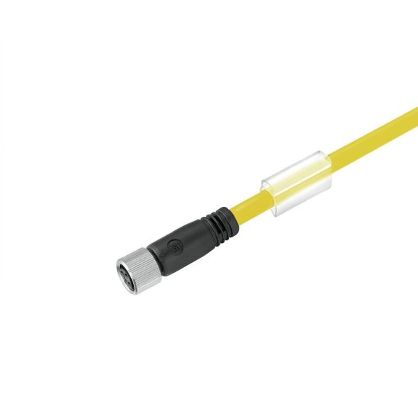 Kabel SAIL-M8BG-3-0.3UGE