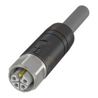 Anschlussleitung BCC S415-000#BCC0LKM