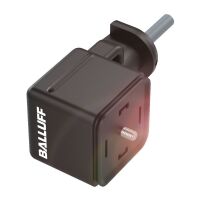 Anschlussleitung BCC VA04-000#BCC0K3T