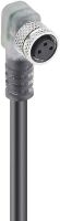 Winkelkupplung M8 RKMWV/LED A3-224/10m
