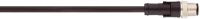 AB-PC4-M12MS-10,0PUR 22260780
