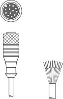 Anschlussleitung KD S-M12-CA-P1-150